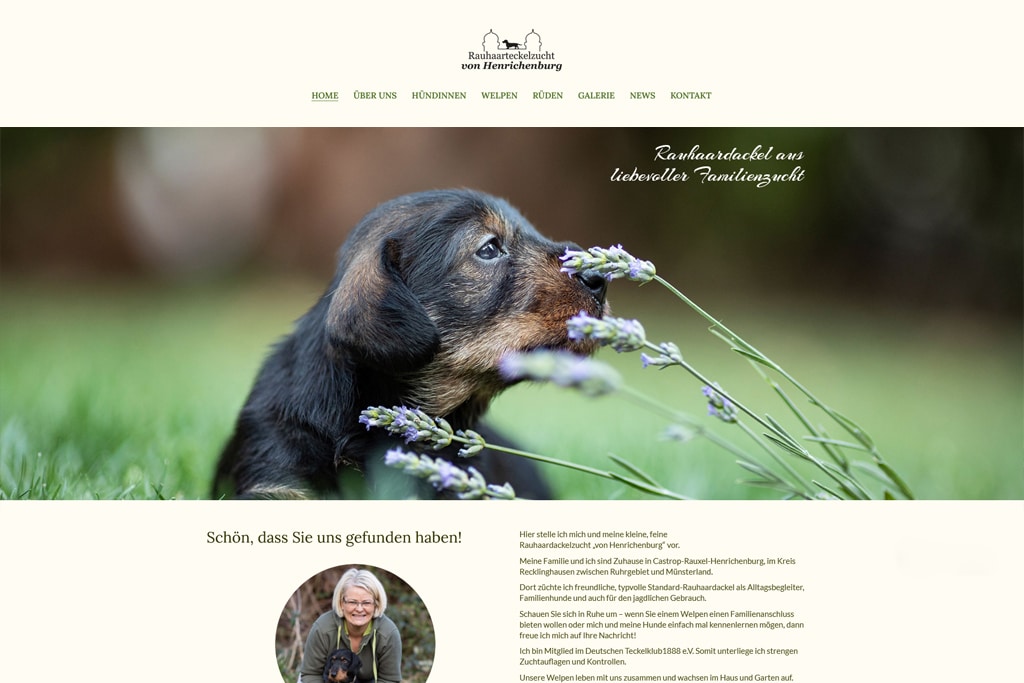 Teckelzucht von Henrichenburg, Homepage für Dackelzüchter