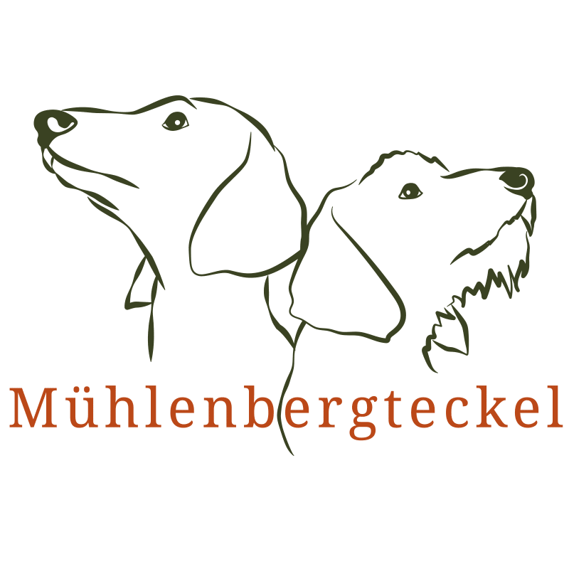 Logo Dackel, Mühlenbergteckel, Dackel-Logo