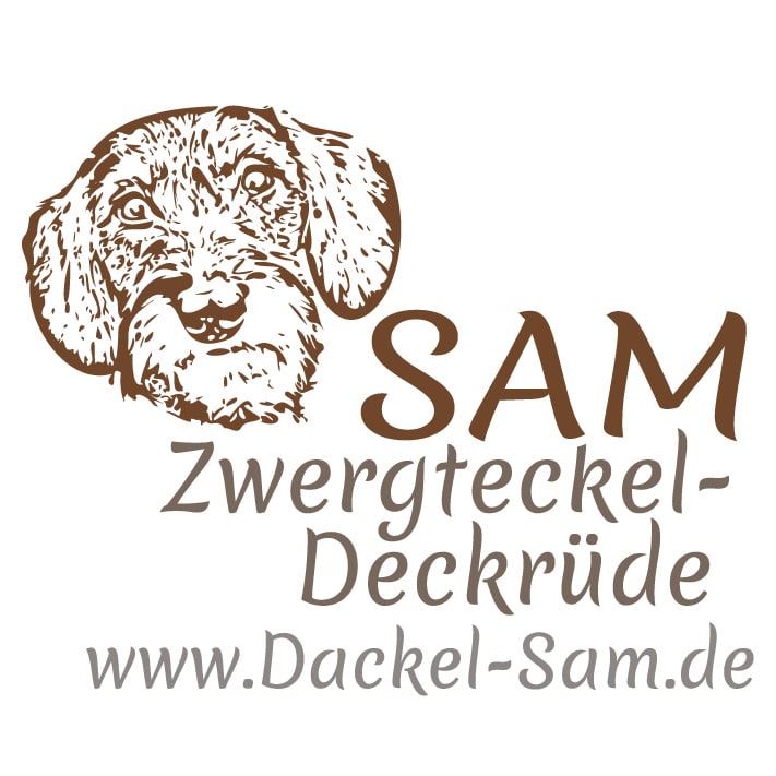 Logo Dackel Sam - Zwergrauhaarteckeldeckrüde
